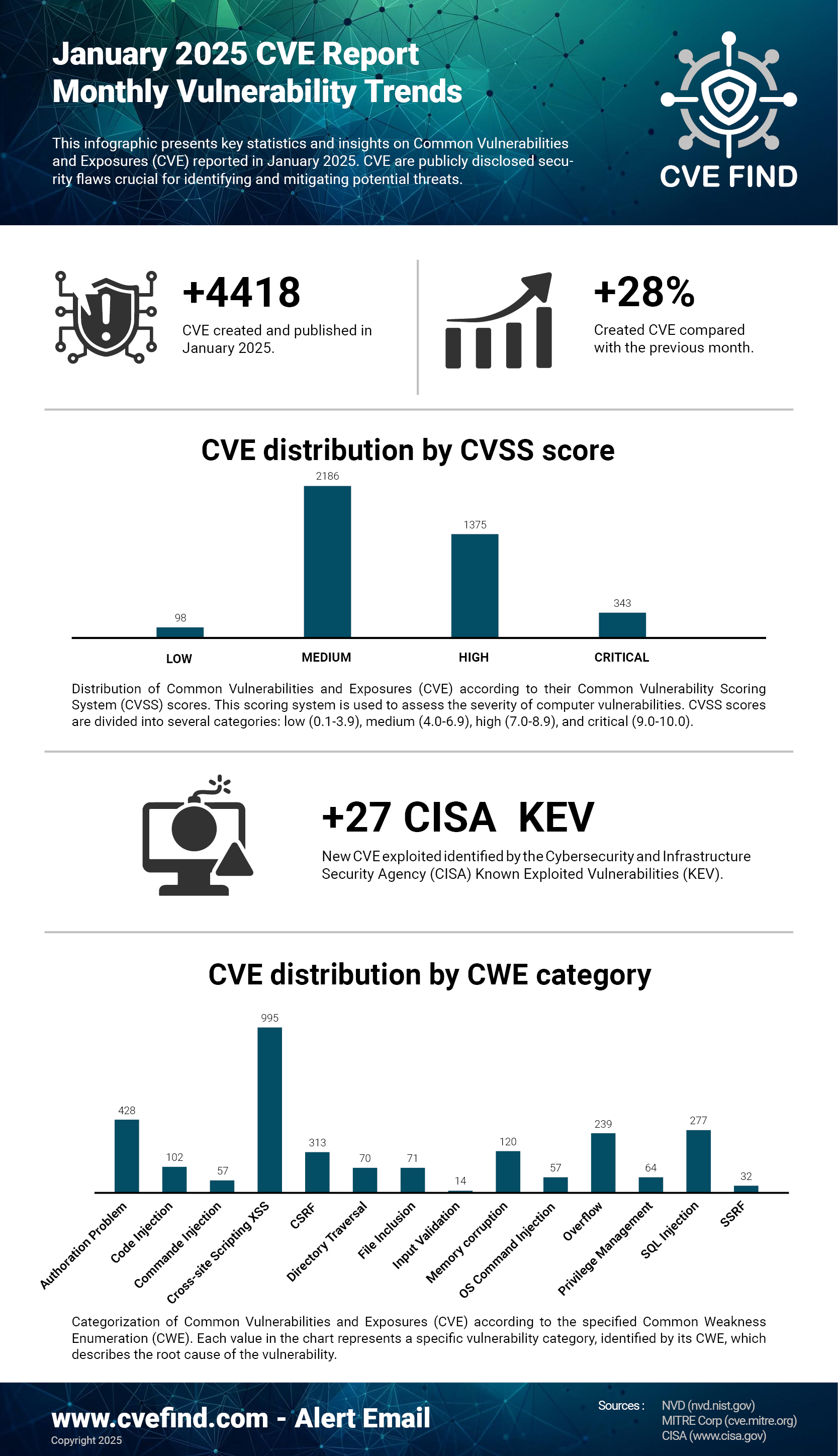 CVE Statistics - January 2025